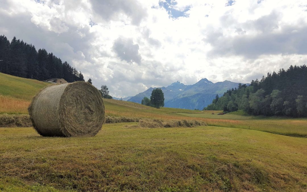 MONTAGNA: IRAP, PRONTO IL BANDO PER LA RICHIESTA DI CONTRIBUTI